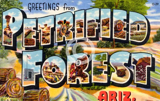 'Greetings from Petrified Forest, Arizona', postcard, 1941. Artist: Unknown