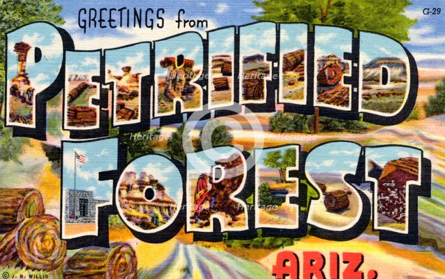 'Greetings from Petrified Forest, Arizona', postcard, 1941. Artist: Unknown