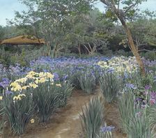 "Grey-Croft," Stephen Swete Cummins house, Huntting Lane, East Hampton, New York, 1913. Creator: Frances Benjamin Johnston