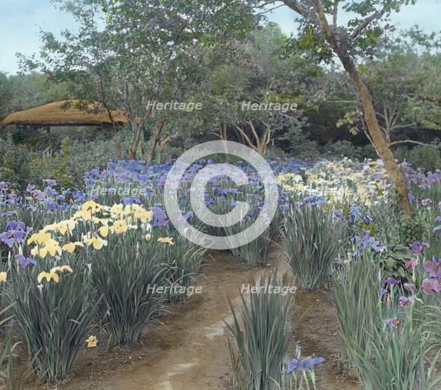 "Grey-Croft," Stephen Swete Cummins house, Huntting Lane, East Hampton, New York, 1913. Creator: Frances Benjamin Johnston.