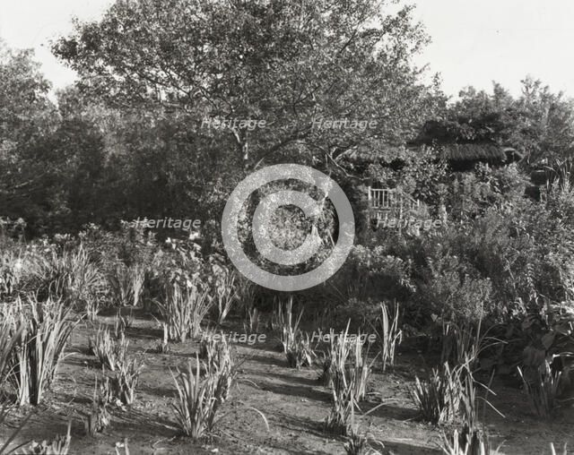 "Grey-Croft," Stephen Swete Cummins house, Huntting Lane, East Hampton, New York, 1913. Creator: Frances Benjamin Johnston.