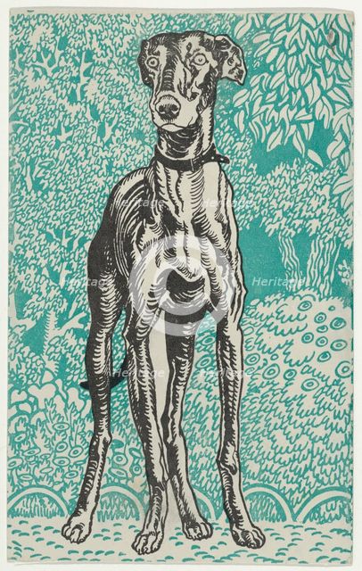 Greyhound, 1912. Creator: Moritz Jung.
