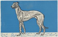 Greyhound, 1912. Creator: Moritz Jung