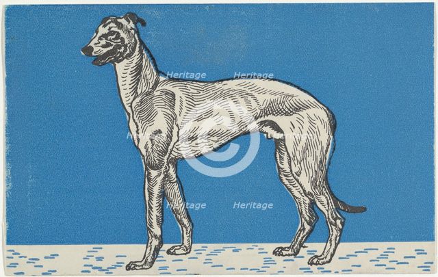 Greyhound, 1912. Creator: Moritz Jung.