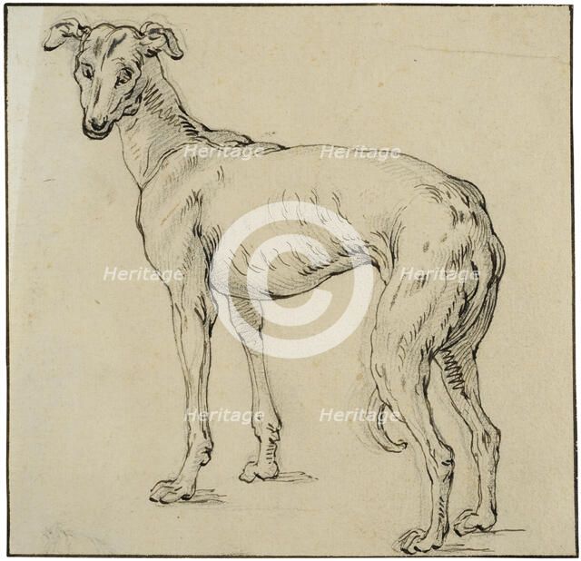 Greyhound. Creator: Abraham Bloemaert.