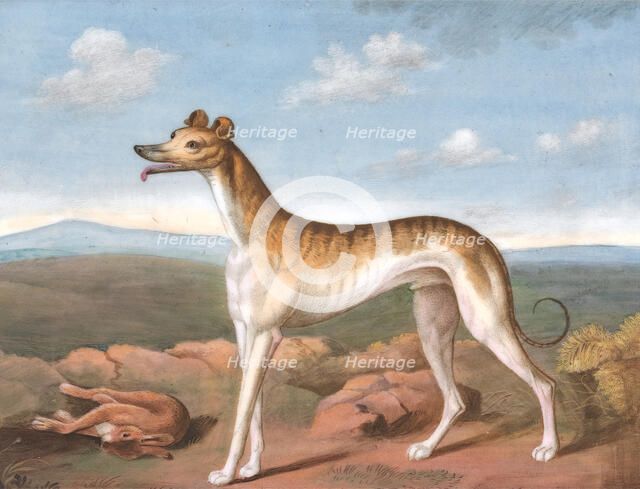 Greyhound: Facing Left, with a Dead Hare at His Feet, ca. 1805. Creator: Unknown.