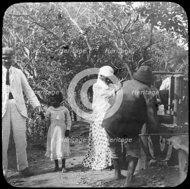 Grinding sugar cane, Brazil, late 19th or early 20th century. Artist: Unknown