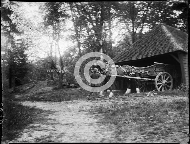 Groombridge, Speldhurst, Tunbridge Wells, Kent, 1911. Creator: Katherine Jean Macfee.