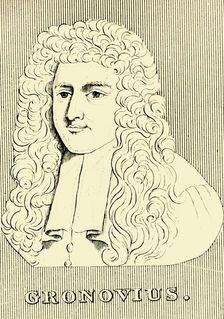 Gronovius (1690-1762), 1830. Creator: Unknown