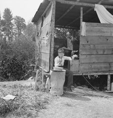 Grower provides fourteen such shacks..., near Grants Pass, Josephine County, Oregon, 1939. Creator: Dorothea Lange