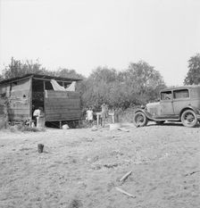 Grower provides fourteen such shacks..., near Grants Pass, Josephine County, Oregon, 1939. Creator: Dorothea Lange