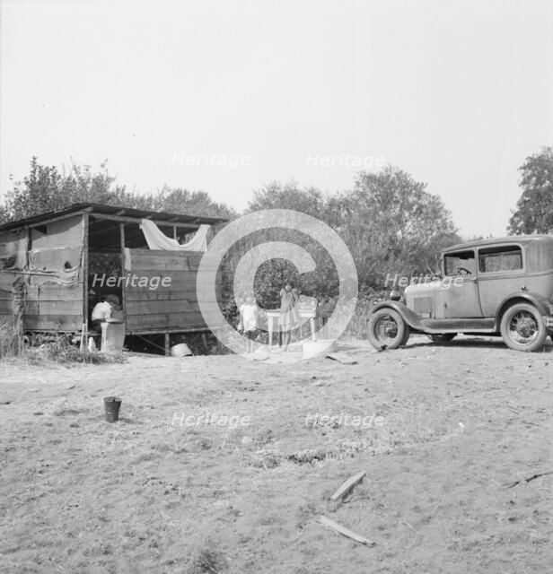 Grower provides fourteen such shacks..., near Grants Pass, Josephine County, Oregon, 1939. Creator: Dorothea Lange.