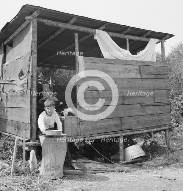 Grower provides fourteen such shacks in a row..., near Grants Pass, Josephine County, Oregon, 1939. Creator: Dorothea Lange.