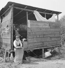 Grower provides fourteen such shacks in a row..., near Grants Pass, Josephine County, Oregon, 1939. Creator: Dorothea Lange