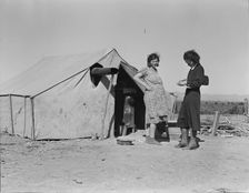 Grower's camp for migrant labor on the edge of the pea fields, near Calipatria, Imperial Valley, CA, Creator: Dorothea Lange