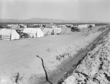 Grower's camp for pickers on large pea ranch..., near Calipatria, Imperial Valley, California, 1939. Creator: Dorothea Lange