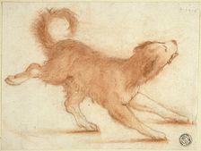 Growling Dog Ready to Pounce, 1695-1721. Creator: Dirk Valkenburg