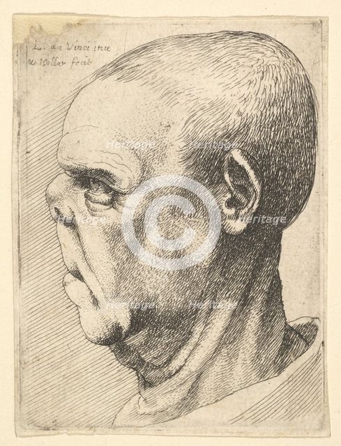 Grotesque old man with flattened nose in profile to left, 1625-77. Creator: Wenceslaus Hollar.
