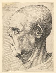 Grotesque old man with flattened nose in profile to left, 1625-77. Creator: Wenceslaus Hollar