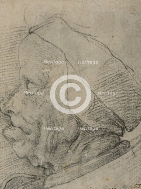 Grotesque head in profile, c15th century. Creator: Anon.