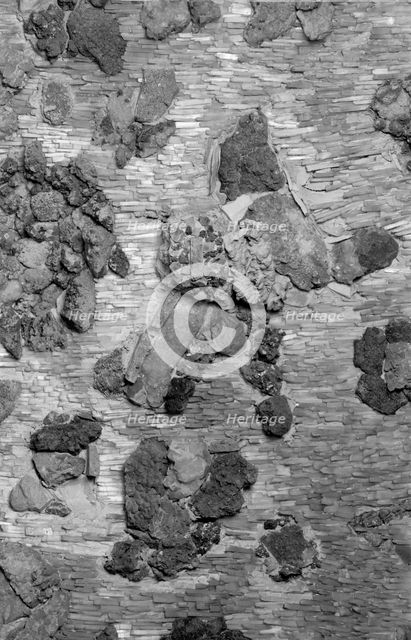 Grotto at Ascot Place, Winkfield, Berkshire, 1945. Artist: Eric de Maré