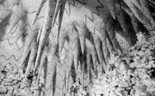 Grotto at Ascot Place, Winkfield, Berkshire, 1945. Artist: Eric de Maré