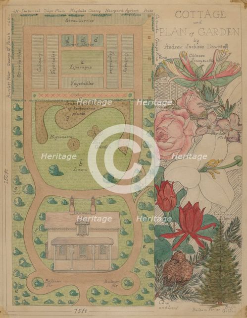 Ground Plan for Cottage, c. 1936. Creator: Virginia Richards.