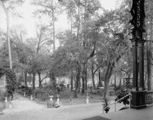 Grounds at the Pine Forest Inn, Summerville, S.C., c1904. Creator: Unknown