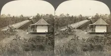 Group of 14 stereographs of Africa and Actors, 1850s-1910s. Creator: Kilburn Brothers