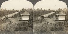 Group of 14 stereographs of Africa and Actors, 1850s-1910s. Creator: Kilburn Brothers
