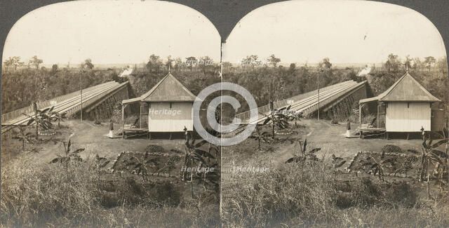 Group of 14 stereographs of Africa and Actors, 1850s-1910s. Creator: Kilburn Brothers.