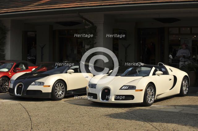 Group of Bugatti Veyron cars