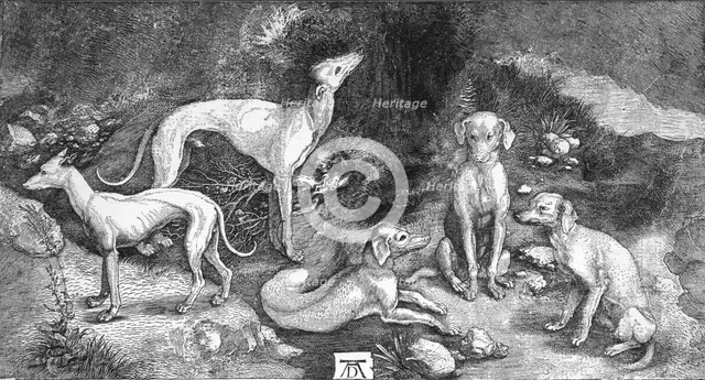 'Group of Dogs. From the engraving of St. Eustace, by A. Durer', c1500, (1906). Artist: Albrecht Durer.