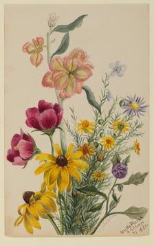 Group of Flowers, 1881. Creator: Mary Vaux Walcott