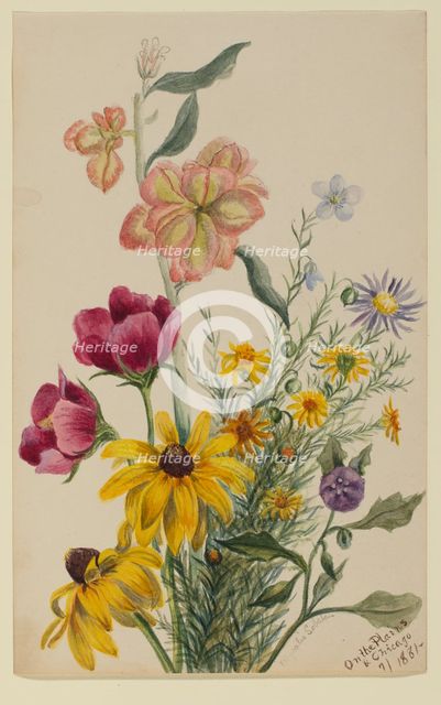 Group of Flowers, 1881. Creator: Mary Vaux Walcott.