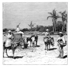 Group of Haitians, c1890