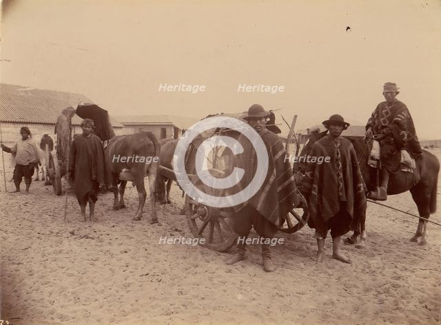 Group of Indians with Cart and Oxen, 1880s. Creator: Unknown.