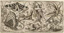 Group of insects and animals on a plain ground with grass..., 1530 - 1562. Creator: Virgil Solis