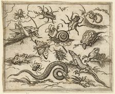Group of insects and reptiles on plain ground with rocks, including an iguana, a lizard..., 1557. Creator: Virgil Solis