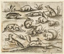 Group of small woodland creatures eating and running around a pond, including a mouse..., 1557. Creator: Virgil Solis