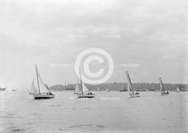 Group of Solent Sea Birds, 1922. Creator: Kirk & Sons of Cowes.