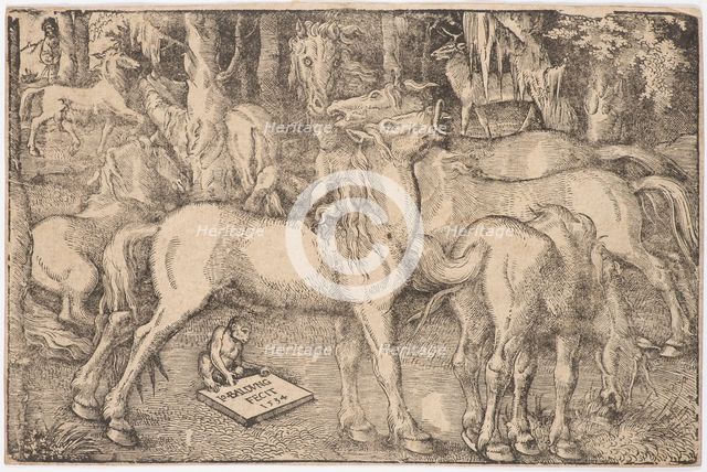 Group of Seven Horses, 1534. Creator: Baldung (Baldung Grien), Hans (1484-1545).