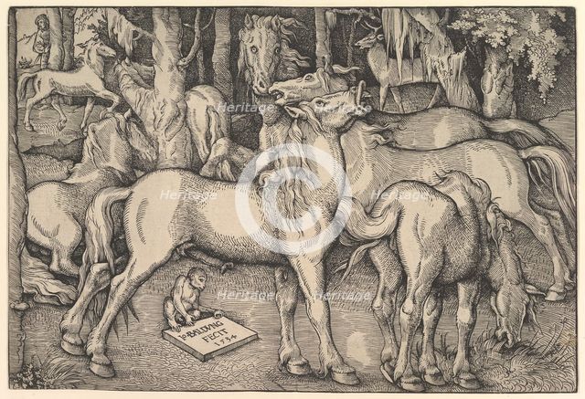 Group of Seven Horses, 1534. Creator: Hans Baldung.