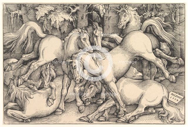 Group of Seven Horses, 1534. Creator: Hans Baldung.