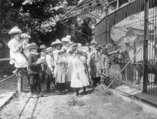 Group of public school children looking at bears in the National Zoo(?), Washington, D.C., (1899?). Creator: Frances Benjamin Johnston