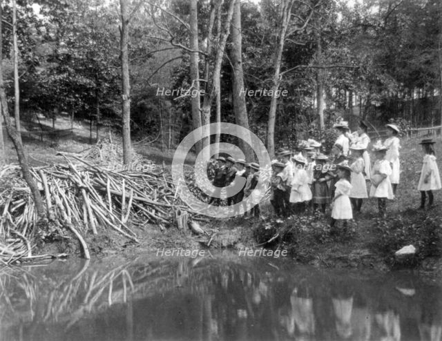 Group of public school children looking at beaver dam in the National Zoo(?), Washington DC, (1899?) Creator: Frances Benjamin Johnston.