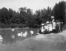 Group of public school children looking at pelicans and swan in the Nation...Washington DC, (1899?). Creator: Frances Benjamin Johnston
