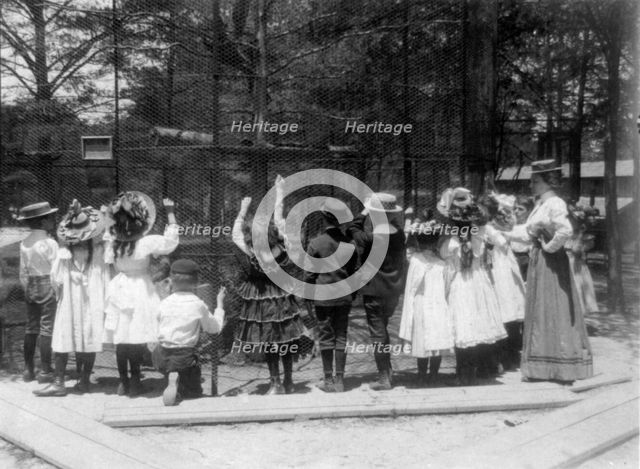 Group of public school children offering peanuts to animals in the Nation..., Washington DC, (1899?) Creator: Frances Benjamin Johnston.