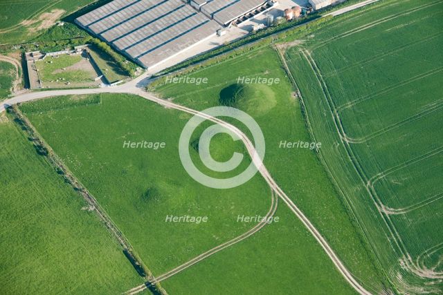 Group of round barrows, showing as earthworks, on Shorn Hill, near Martinstown, Dorset, 2015. Creator: Historic England.