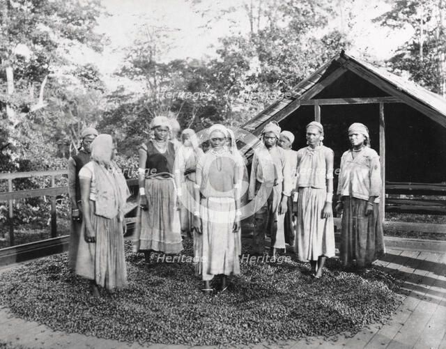 Group of women workers standing outside a cocoa drying house, 1897. Artist: Unknown